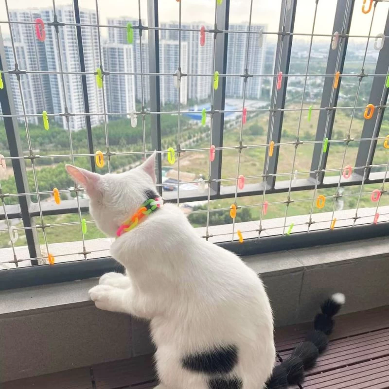 lưới an toàn cho thú cưng